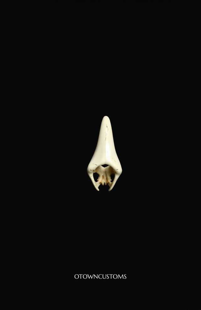 Floating Sacrum