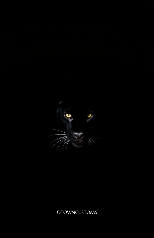 Dusky Panther Prowl