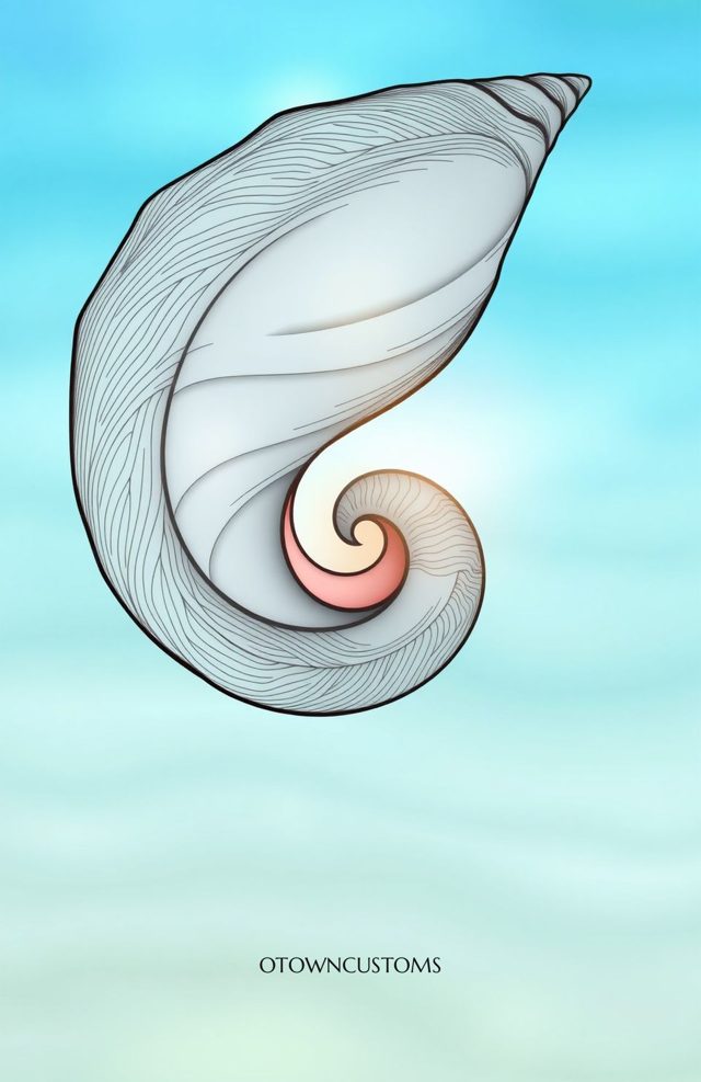 Conch Shell Spiral Abstract Nautical